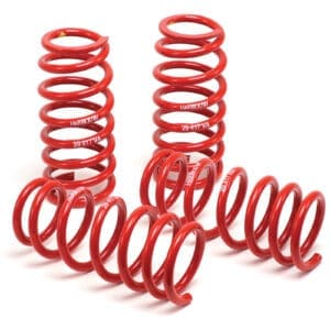 H&R 04-06 BMW 525i/530i/545i E60 Race Spring (w/o Self Leveling) 50460-88